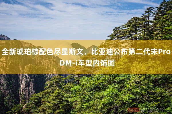 全新琥珀棕配色尽显斯文，比亚迪公布第二代宋Pro DM-i车型内饰图
