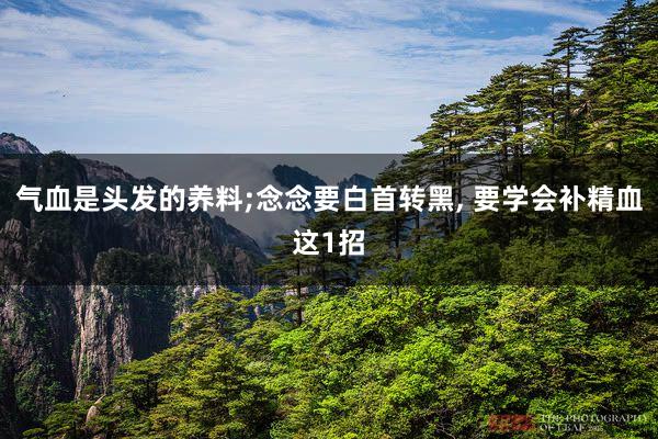 气血是头发的养料;念念要白首转黑, 要学会补精血这1招