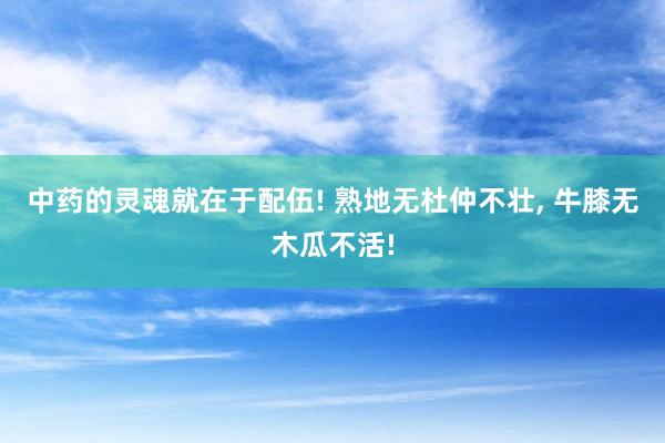 中药的灵魂就在于配伍! 熟地无杜仲不壮, 牛膝无木瓜不活!
