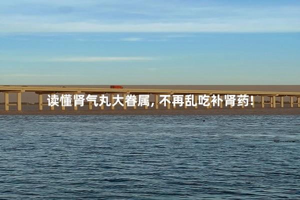 读懂肾气丸大眷属, 不再乱吃补肾药!