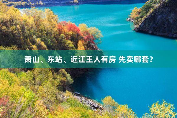 萧山、东站、近江王人有房 先卖哪套？