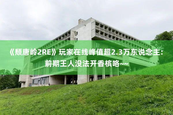 《颓唐岭2RE》玩家在线峰值超2.3万东说念主: 前期王人没法开香槟咯~~