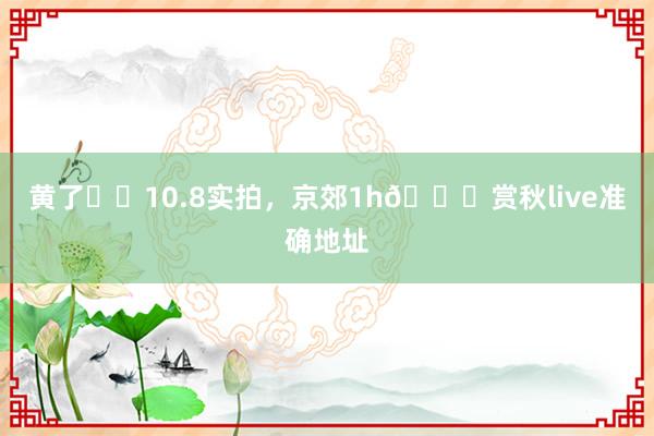 黄了❗️10.8实拍，京郊1h🆓赏秋live准确地址