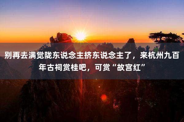 别再去满觉陇东说念主挤东说念主了，来杭州九百年古祠赏桂吧，可赏“故宫红”
