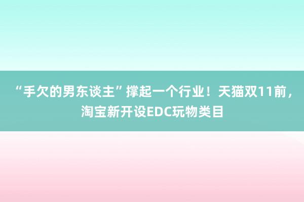 “手欠的男东谈主”撑起一个行业！天猫双11前，淘宝新开设EDC玩物类目