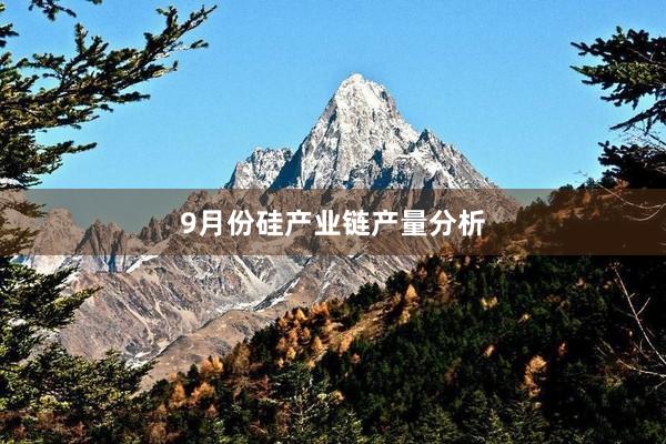 9月份硅产业链产量分析