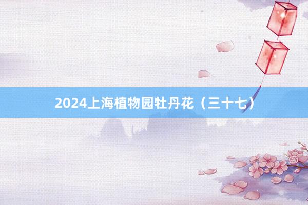 2024上海植物园牡丹花（三十七）