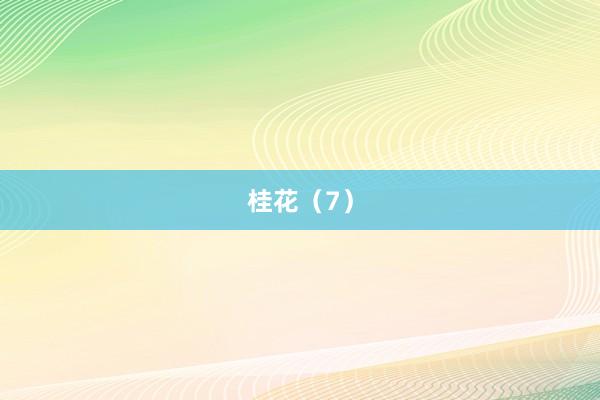 桂花（7）