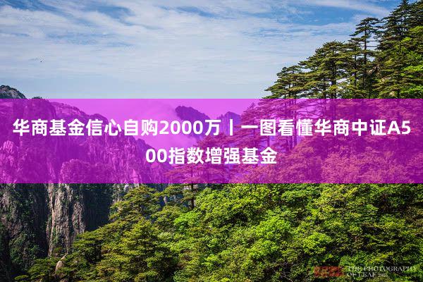 华商基金信心自购2000万丨一图看懂华商中证A500指数增强基金