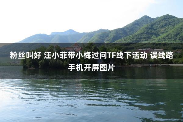 粉丝叫好 汪小菲带小梅过问TF线下活动 误线路手机开屏图片