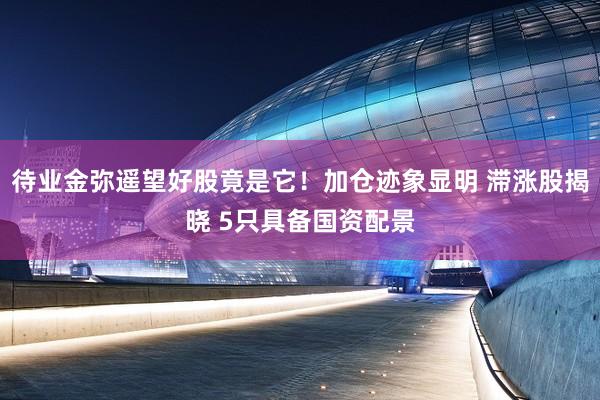 待业金弥遥望好股竟是它！加仓迹象显明 滞涨股揭晓 5只具备国资配景