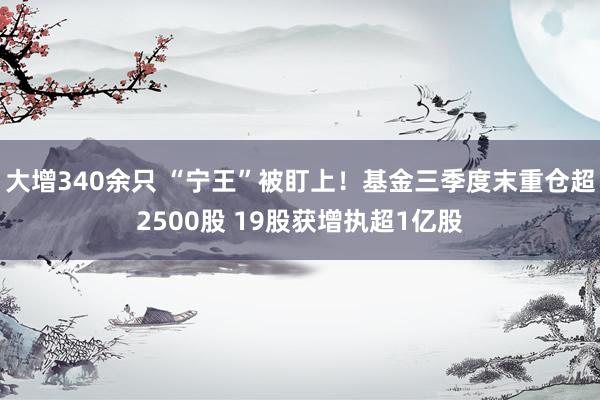 大增340余只 “宁王”被盯上！基金三季度末重仓超2500股 19股获增执超1亿股