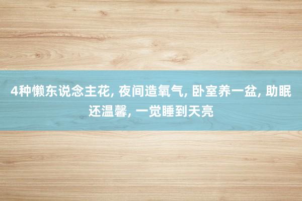 4种懒东说念主花, 夜间造氧气, 卧室养一盆, 助眠还温馨, 一觉睡到天亮