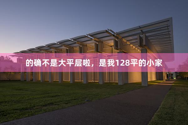 的确不是大平层啦,是我128平的小家