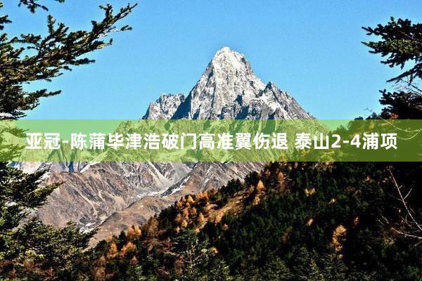 亚冠-陈蒲毕津浩破门高准翼伤退 泰山2-4浦项