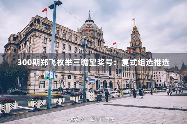 300期郑飞枚举三瞻望奖号：复式组选推选