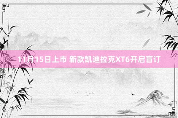 11月15日上市 新款凯迪拉克XT6开启盲订