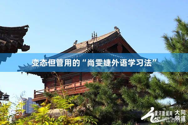 变态但管用的“尚雯婕外语学习法”