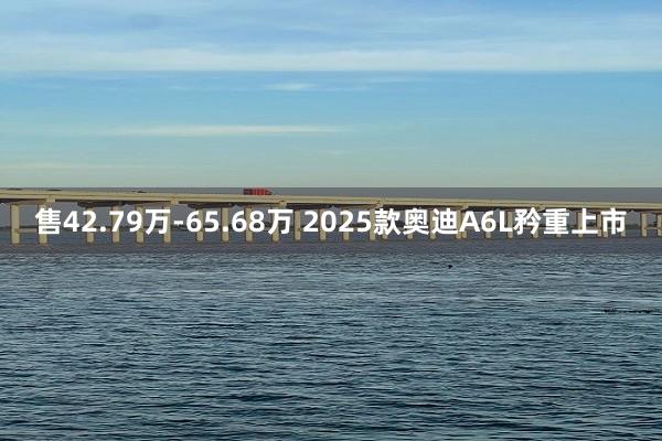 售42.79万-65.68万 2025款奥迪A6L矜重上市