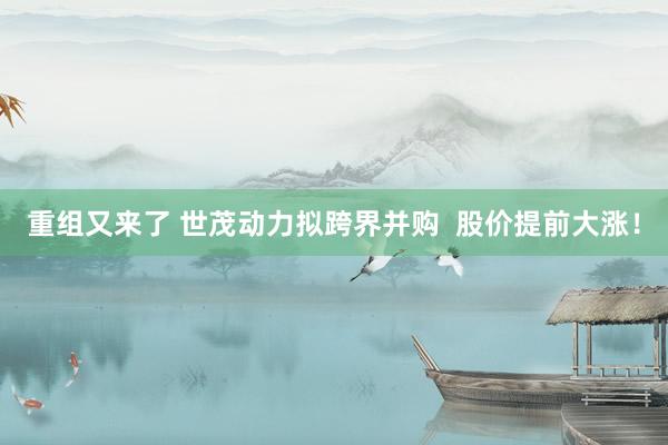 重组又来了 世茂动力拟跨界并购  股价提前大涨！