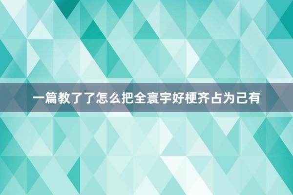 一篇教了了怎么把全寰宇好梗齐占为己有