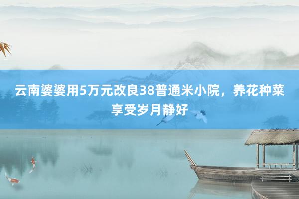 云南婆婆用5万元改良38普通米小院，养花种菜享受岁月静好