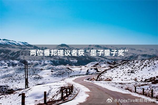 两位番邦磋议者获“墨子量子奖”