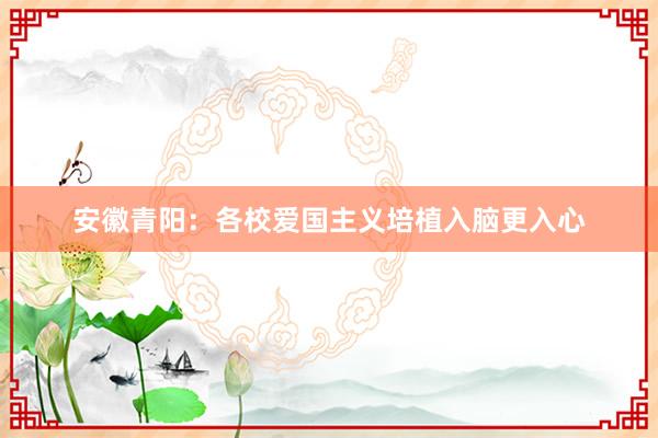 安徽青阳：各校爱国主义培植入脑更入心