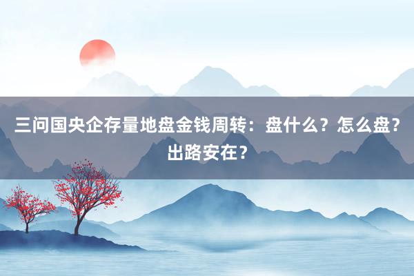 三问国央企存量地盘金钱周转：盘什么？怎么盘？出路安在？